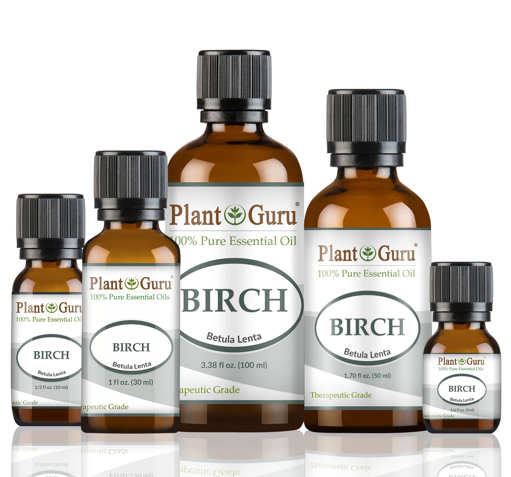 Birch (Sweet)