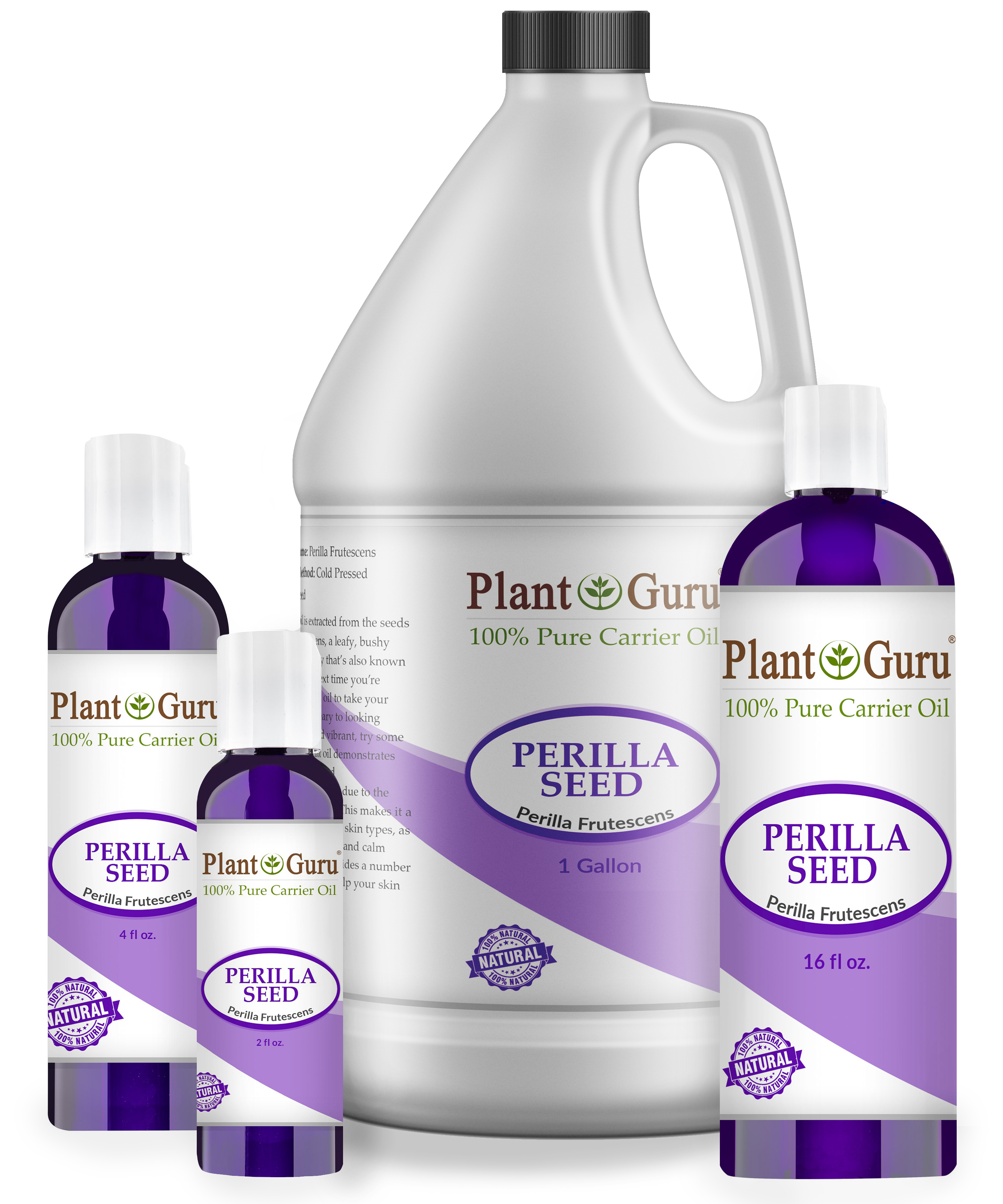 Perilla Seed 