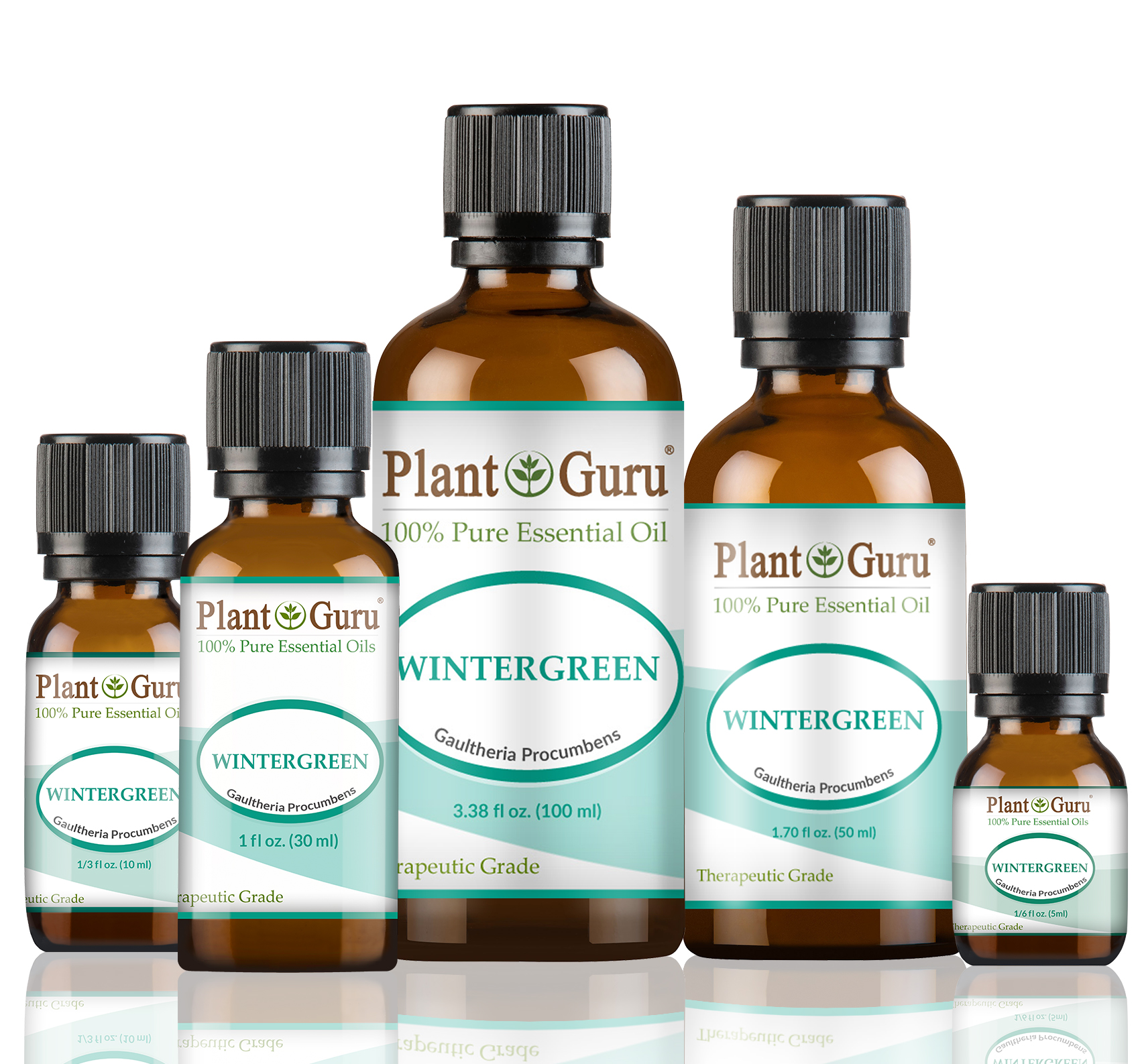 Wintergreen