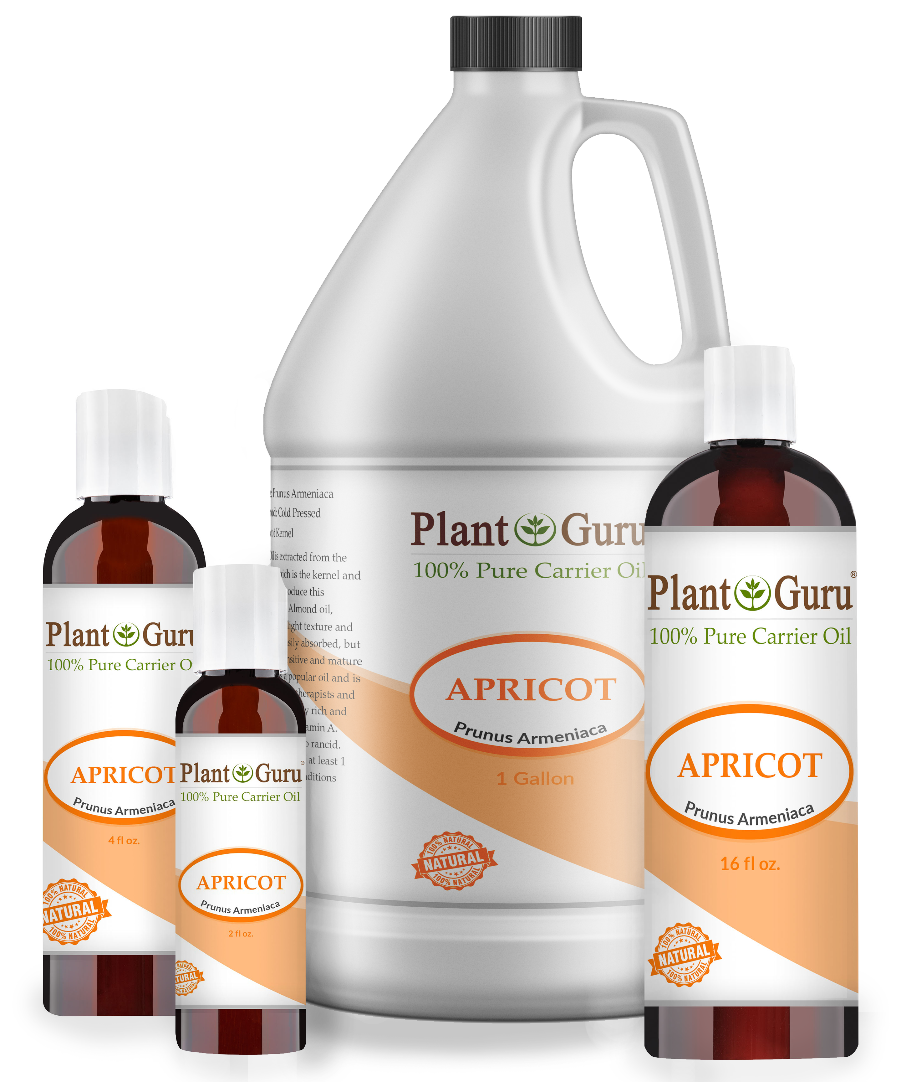 Apricot