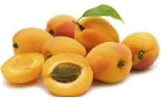 Apricot