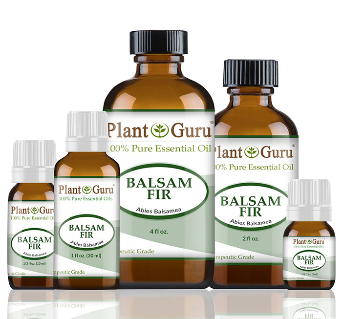 Balsam Fir