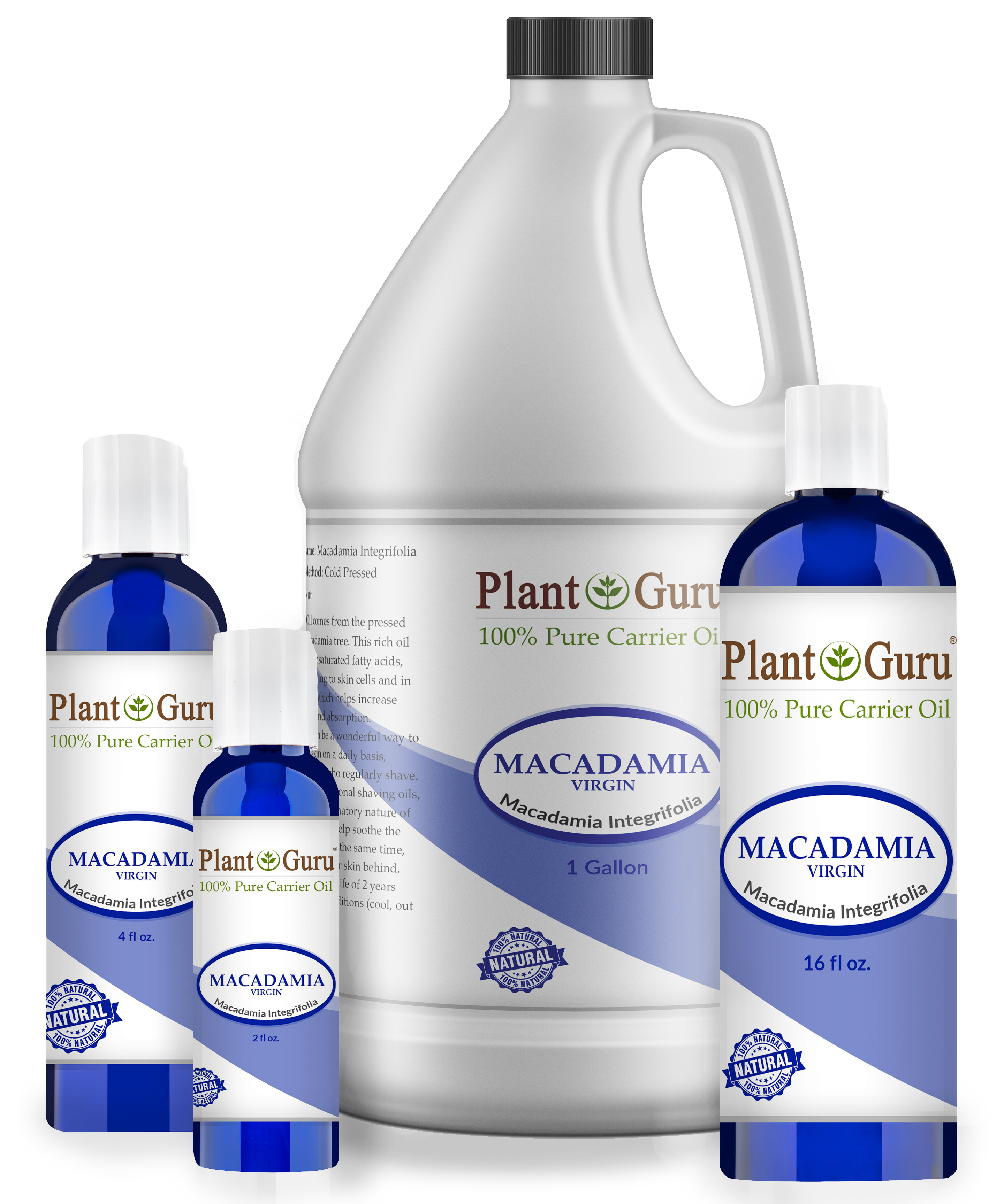 Macadamia