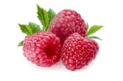 Raspberry