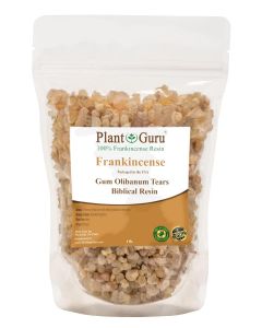 Frankincense Resin Tears "Olibanum Gum" Bulk Wholesale 