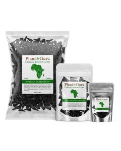 African Musk Green 1" Charcoal Incense Cones Topflow