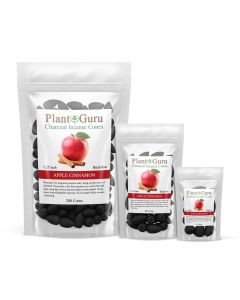 Apple Cinnamon 1.25" Charcoal Incense Cones Backflow