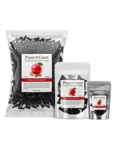 Apple Cinnamon 1" Charcoal Incense Cones Topflow