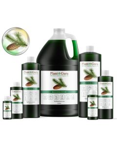 Balsam and Cedar YC Type Fragrance Oil