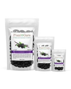 Black Raspberry Vanilla Type 1.25" Charcoal Incense Cones Backflow
