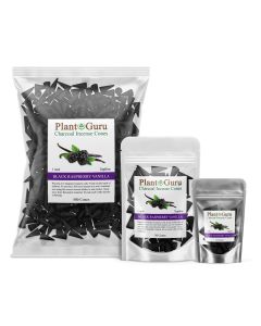 Black Raspberry Vanilla 1" Charcoal Incense Cones Topflow
