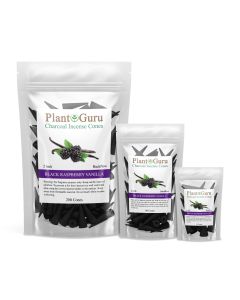 Black Raspberry Vanilla 2" Charcoal Incense Cones Backflow