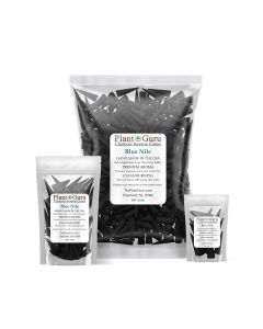 Blue Nile 2" Charcoal Incense Cones Topflow