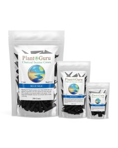 Blue Nile 2" Charcoal Incense Cones Backflow