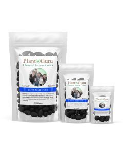 Boys Night Out 1.25" Charcoal Incense Cones