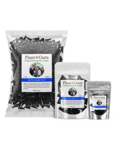 Boys Night Out 1" Charcoal Incense Cones Topflow