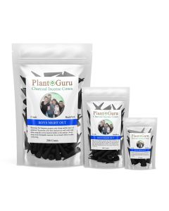 Boys Night Out 2" Charcoal Incense Cones Backflow