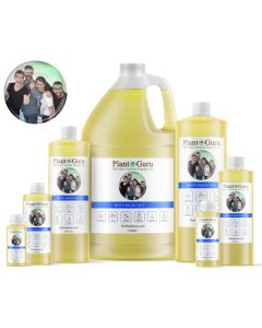 Boys Night Out Fragrance Oil