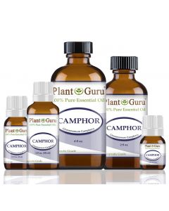 Camphor Essential Oil