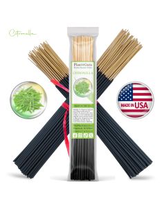 Citronella Incense Sticks 11"