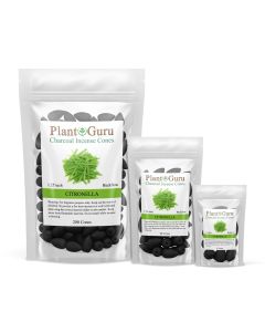 Citronella 1.25" Charcoal Incense Cones Backflow