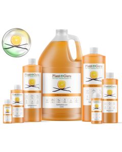 Citrus Vanilla Fragrance Oil