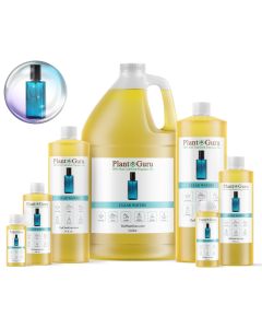 Clear Waters Fragrance Oil
