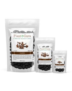 Clove 1.25" Charcoal Incense Cones Backflow