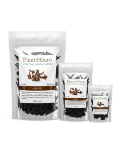 Clove 2" Charcoal Incense Cones Backflow
