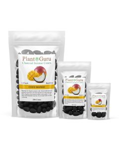 Coco Mango 1.25" Charcoal Incense Cones Backflow