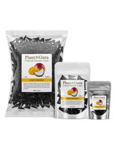 Coco Mango 1" Charcoal Incense Cones Topflow