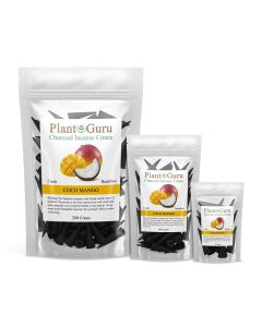 Coco Mango 2" Charcoal Incense Cones Backflow
