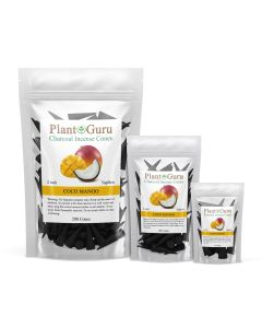 Coco Mango 2" Charcoal Incense Cones Topflow