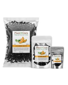 Cucumber Melon 1" Charcoal Incense Cones Topflow