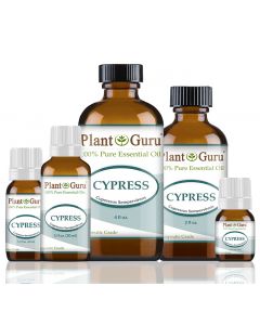 Cypress Essential Oil