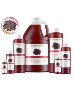 Dragons Blood Fragrance Oil