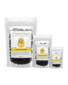 Egyptian Musk 1.25" Charcoal Incense Cones Backflow