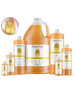 Egyptian Musk Fragrance Oil
