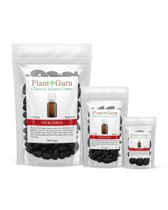 Four Gurus 1.25" Charcoal Incense Cones Backflow