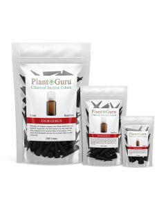 Four Gurus 2" Charcoal Incense Cones Backflow