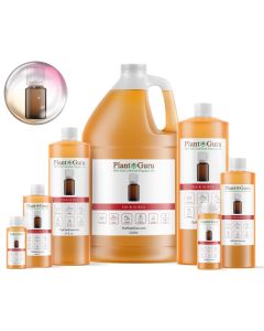 Four Gurus Fragrance Oil