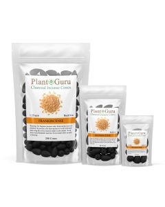Frankincense 1.25" Charcoal Incense Cones Backflow