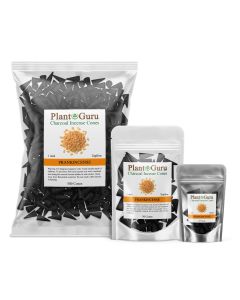 Frankincense 1" Charcoal Incense Cones Topflow