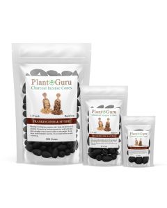 Frankincense And Myrrh 1.25" Charcoal Incense Cones Backflow