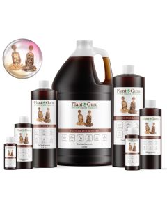Frankincense and Myrrh Fragrance Oil
