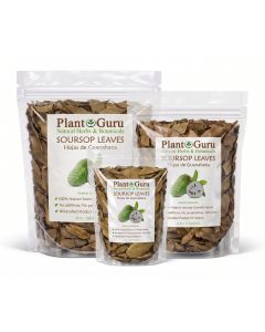 Soursop Leaves - Dried Natural Graviola Soursop Tea Leaves