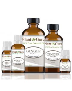 Ginger (Root) Essential Oil