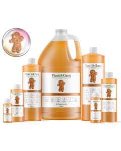 Gingerbread Cookie Fragrance Oil
