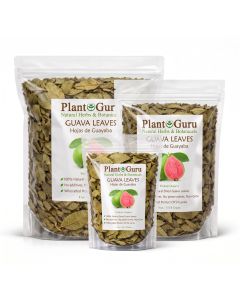Guava Leaves - Dried Natural Psidium Guajava Tea Leaves