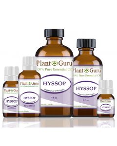 Hyssop Essential Oil 